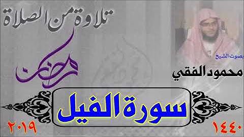 سورة الفيل من صلاة القيام 1440 هـ ، بصوت الشيخ محمود الفقي
