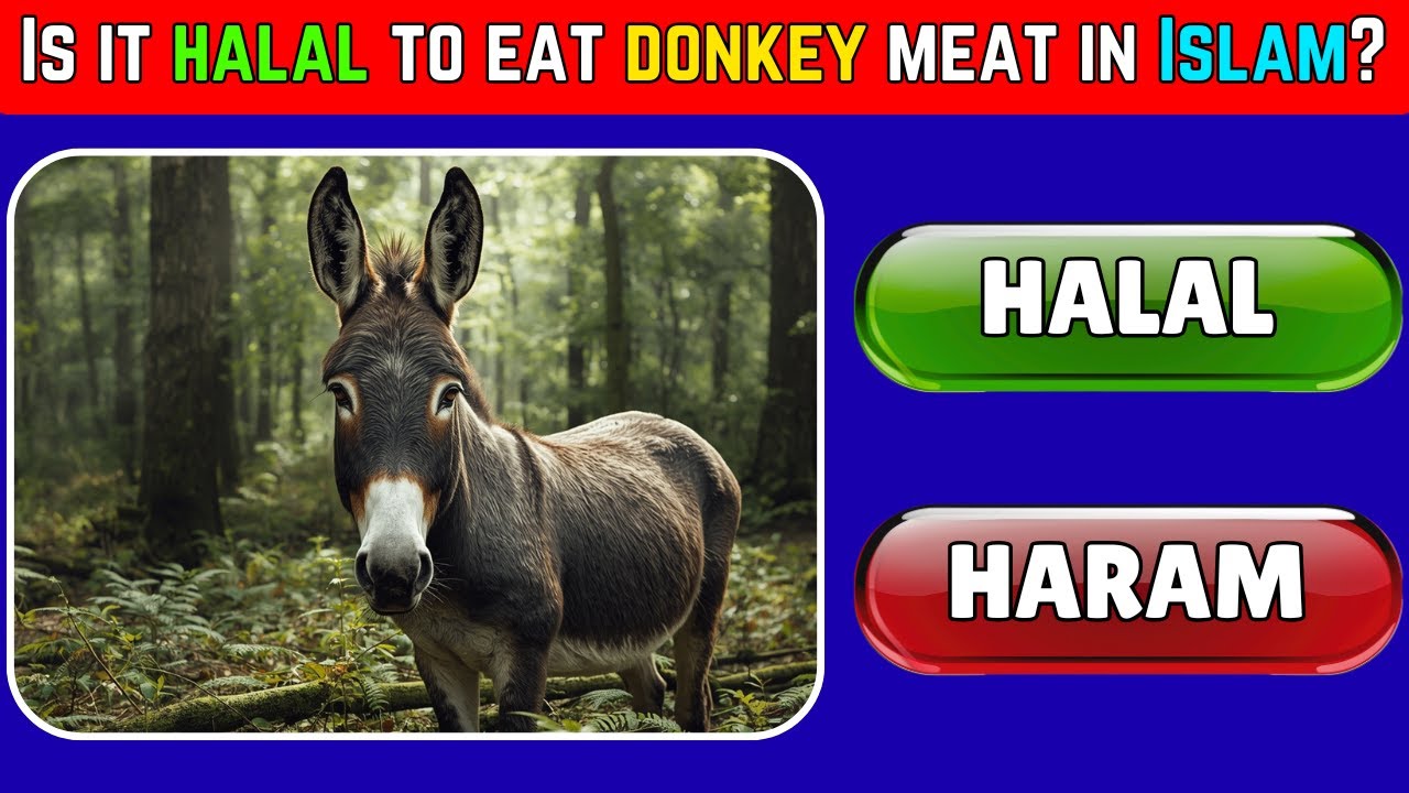 🐏 Halal or Haram? | Animals Edition Quiz – Part 2 🐪