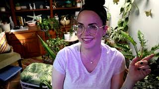 It’s time to get some planty things done! Let’s do some plant care 🌿 @PeanutsPlants