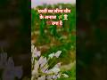 कि सुन ले हम तो वह किसान के बेटे हैं#farming #shortsviral #trinding #viral #shorts #youtubeshorts