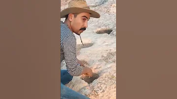 هاذا الجرن من اثمن الجرون 