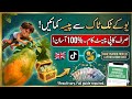 Best Content for UK TikTok Account | How to Earn Money in Pakistan 2026