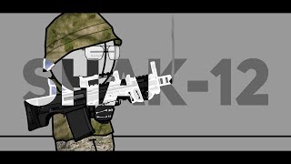 SHAK-12 | Madness Combat