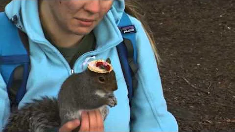 Squirrels help Mary Krupa find fame