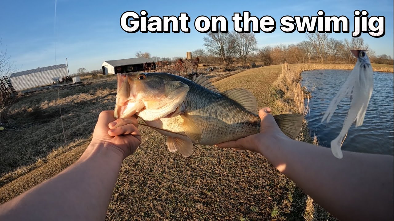 These GIANT Bass Couldn’t Resist The SWIM JIG