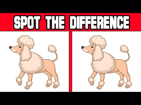 Dogs Quiz - Spot the Difference | Puzzle Brain Game for Kids