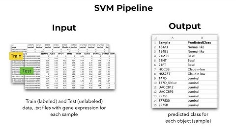 Supervised Machine Learning (Support Vector Machine (SVM)) on T-Bioinfo Platform