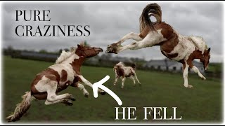 3 MINUTES OF PONY CRAZINESS AT IT'S FINEST