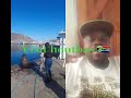 #travel #africa #houtbay #capetown #fish #amazing #cannabisheals #tablemountain