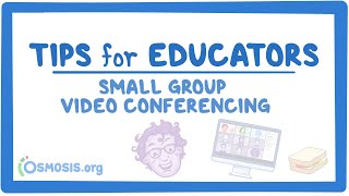 Small group video conferencing
