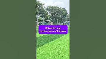 Rải cát trên hay dưới mặt cỏ nhân tạo sân bóng? #conhantaofoba #shorts