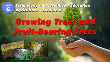 Growing Trees and Fruit-Bearing Trees | Grade 6 | Week 2/ Module 2