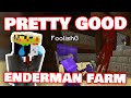 Foolish TRAUMATIZES Ranboo By KILLING Endermans While SHOWING Him PROGRESS On MANSION! DREAM SMP