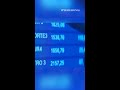 YPF: cuánto podés ganar invirtiendo $500.000 en sus acciones según la City