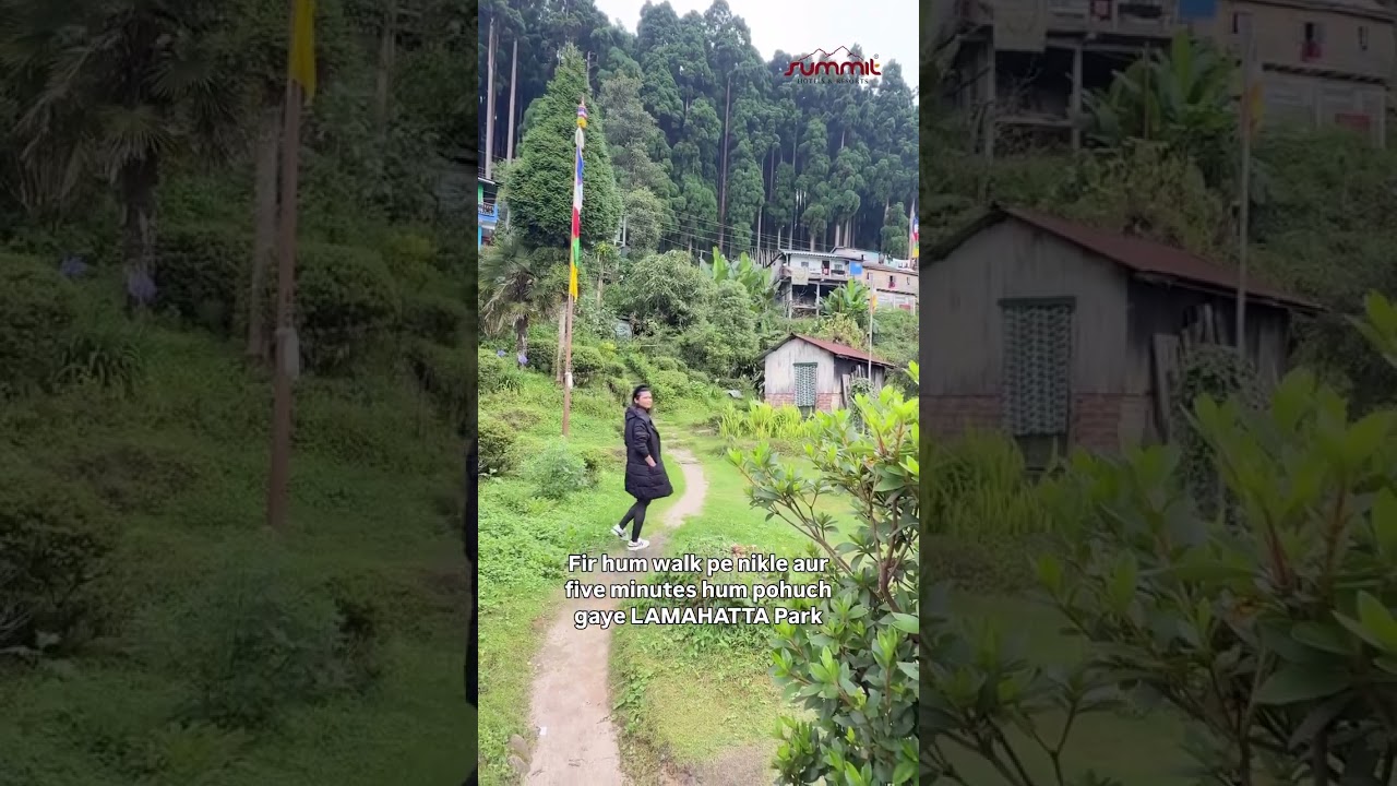 Just an hour from Darjeeling, but it felt like another world .