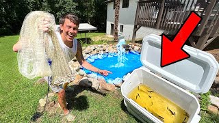 Cast Netting Fish for BackYard TINY POND!!