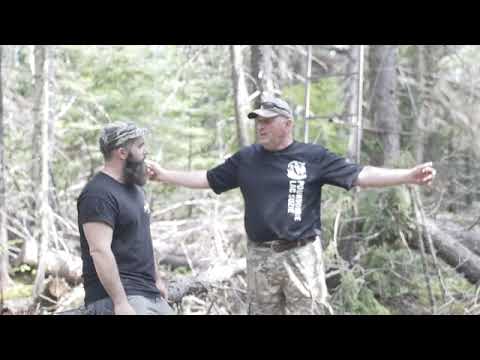tree stand tree stand