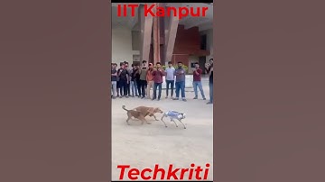 Dog Vs Robot in Techkriti 2024 at IIT Kanpur #techkriti #iit #iitk #dog #iitkanpur #animals #robot