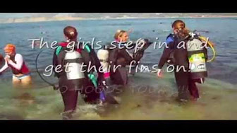 Hqdefault Jpg Sqp Oaymwexcnacelwbsfryq4qpawkiaruaaihcgae Rs Aon4cldbpd8l Oyrt113xti1i49sopp5cg