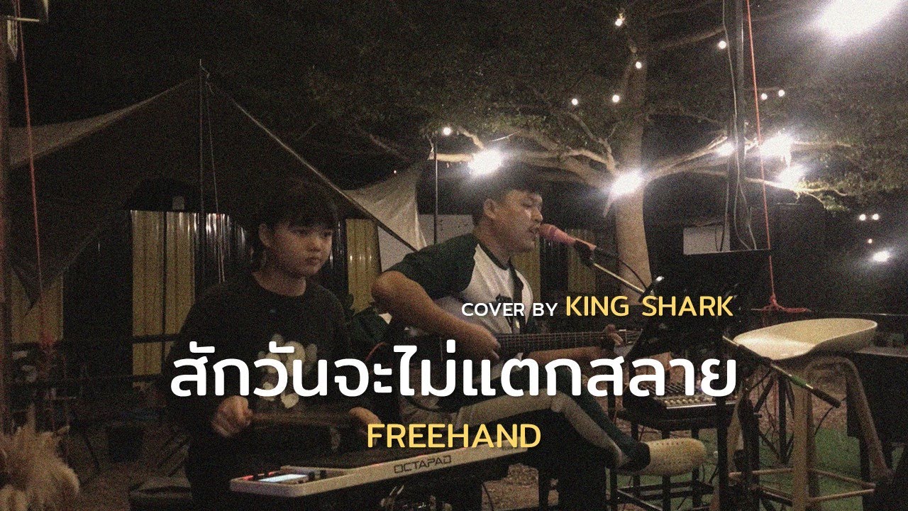 สักวันจะไม่แตกสลาย - FREEHAND [Cover By King Shark] - YouTube