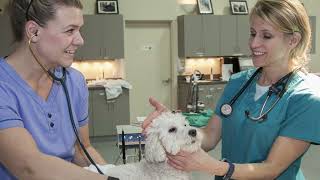 Health Sciences | COCC Education Pathways