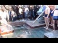 Массовое Крещение Саржин Яр Харьков 19 января 2014 воздух -12 вода +4 Харків