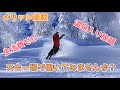 2022-23熊スタッフ募集開始 応募の方は概要欄を見てね【熊の湯スキー場】