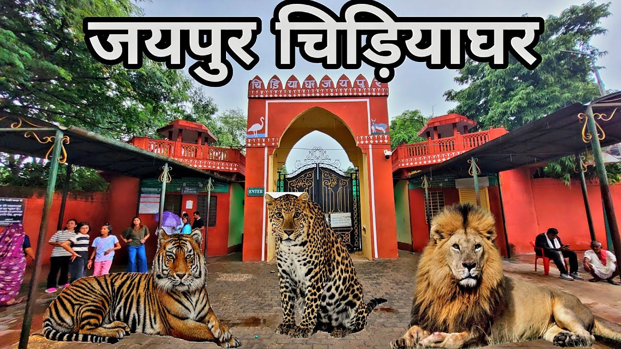 Jaipur Zoo Rajasthan | जयपुर चिड़ियाघर | Jaipur Rajasthan