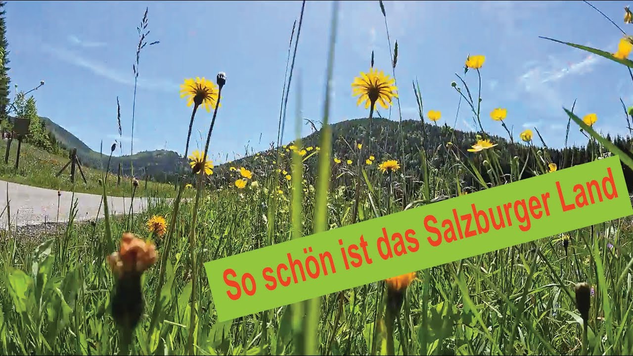 Seewaldsee und Enzianhütte