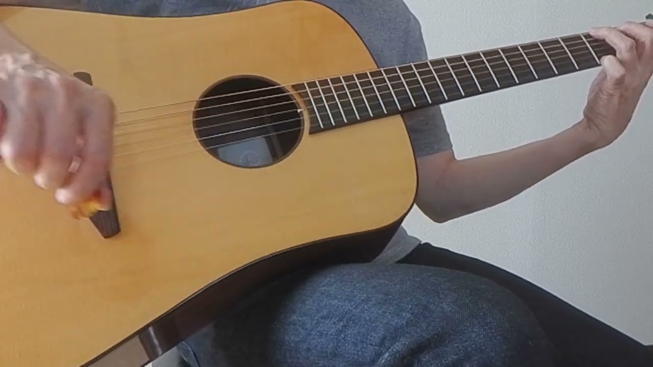 Baden D-style Maple(Fishman ピックアップ内蔵) Baden D-style Maple(Fishman ピックアップ内蔵) ギター