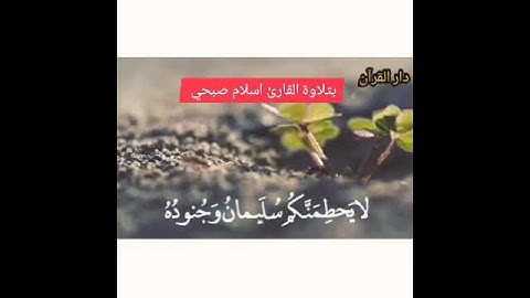 حتى إذا أتو على وادِ النمل قالت نمله يآأيها النمل ادخلو مساكنكم بتلاوة القارئ اسلام صبحي.
