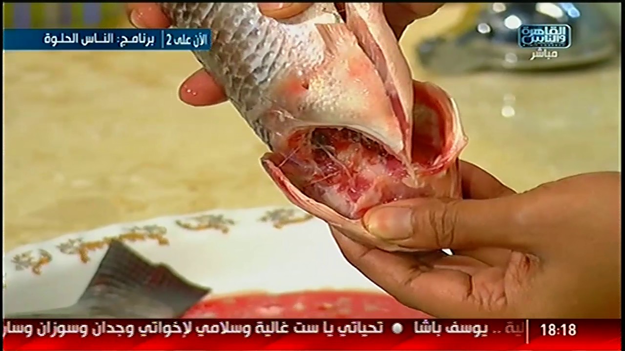 الست غالية |  السمك الأنوم .. السمك البلطى بالخلطة .. السمك الأمشاط المشوى