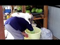 しろとたくあん作り 191122