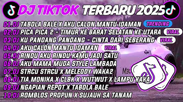DJ TIKTOK TERBARU 2025🎵DJ TABOLA BALE X AKU CALON MANTU IDAMAN🎵DJ PICA PICA 2 TIMUR KE BARAT