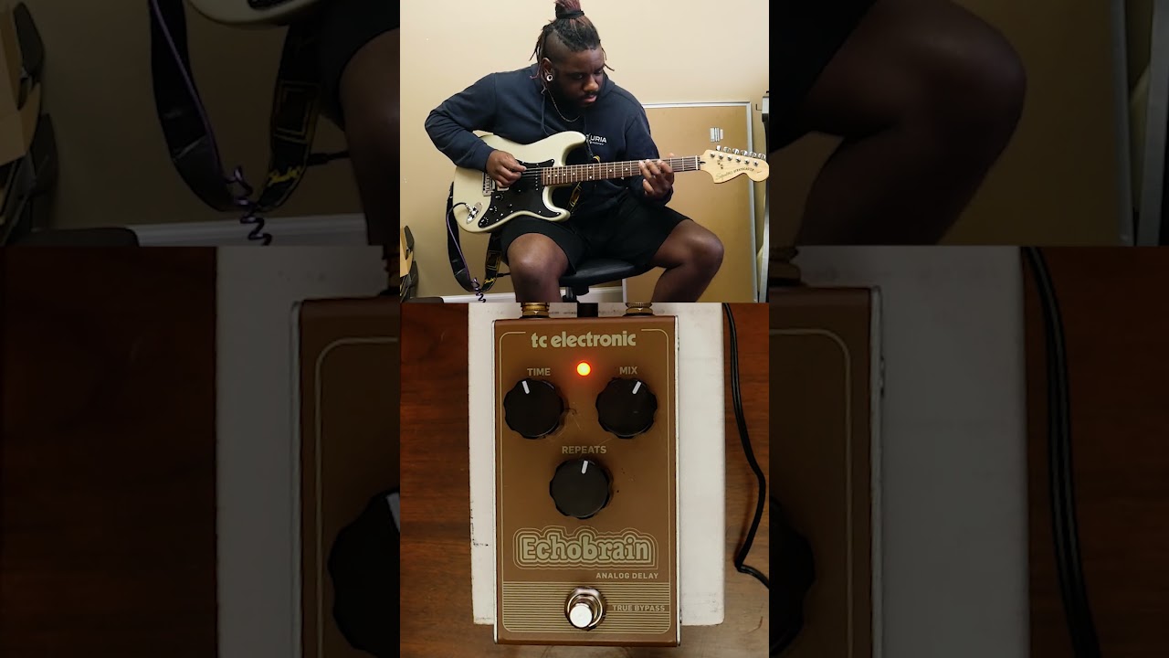 The Echobrain Analog Delay Pedal (tc electronic) | Pedals of