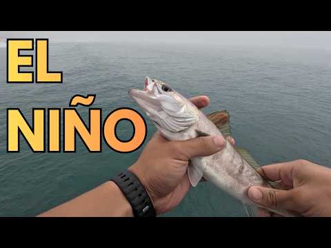 PIER FISHING DURING EL NINO | Huntington Beach Pier Fishing