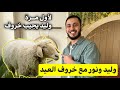 وليد مقداد مع خروف العيد هو ونور مقداد 