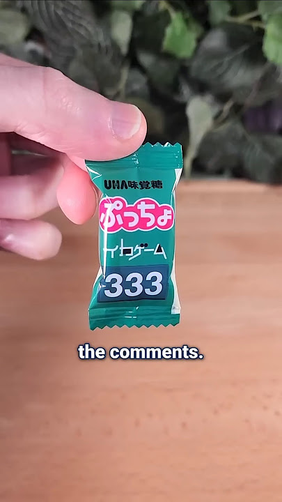 Japan's Real-Life Squid Game Challenge