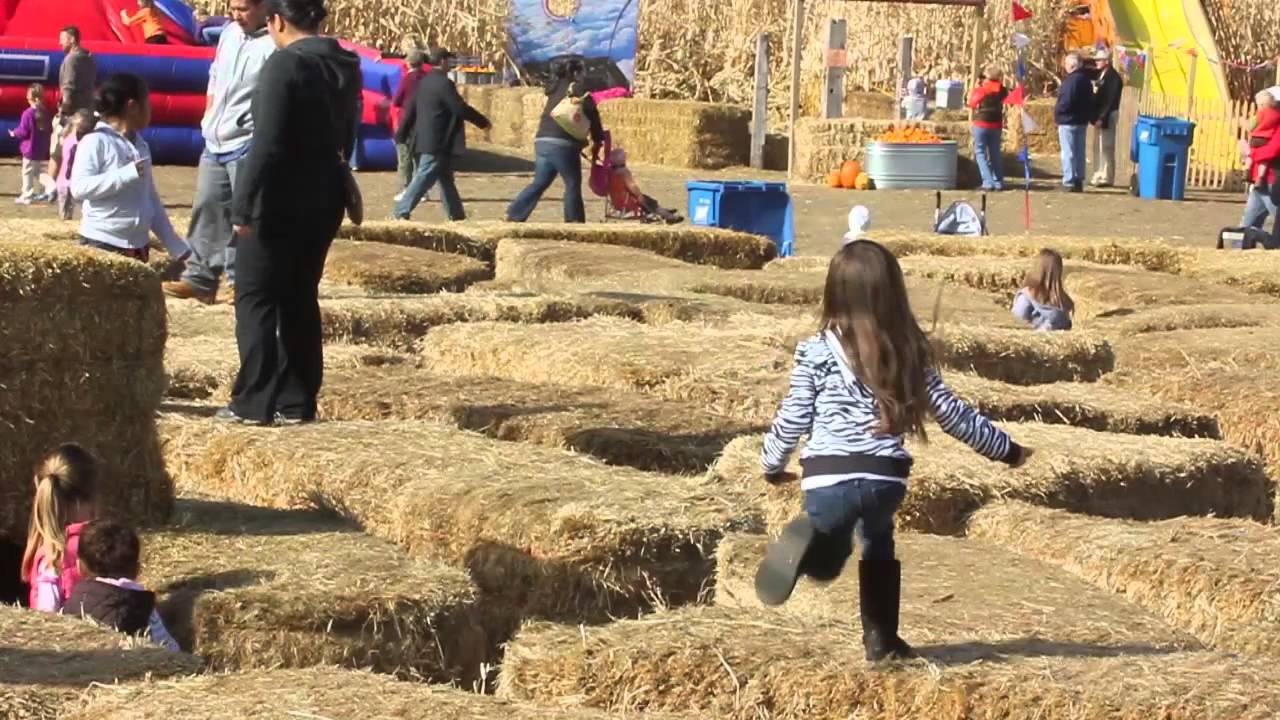 Twin Cities Largest Corn Maze: Twin Cities Harvest Festival