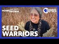 The Pawnee Seed Preservation Society Revive Ancient Ties to Ancestors | Seed Warriors | PBS