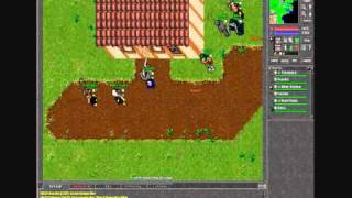 Tibia Sunblade Preview