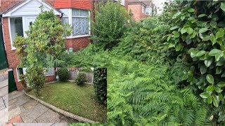 Gardener saves homeowners from city violation (Yard transformation)