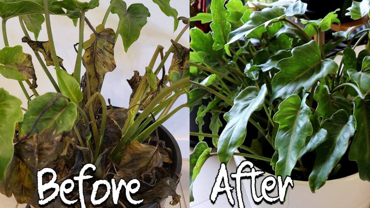 planted kebab planted.kebab – Planted Foods DE/AT main image 0
