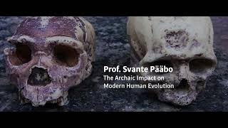 Lecture by Svante Pääbo „The Archaic Impact on Modern Human Evolution” 21.09.22 University Of Lodz