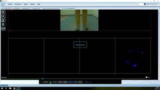 Recording and Processing a Stepscan Balance Sample