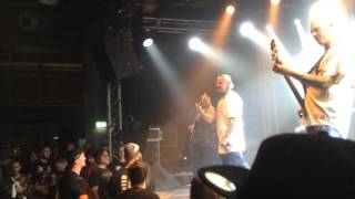Nasty Look at me and Fuck you Live in Hannover Musikzentrum Taste of Anarchy 2016