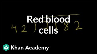 Red blood cells | Human anatomy and physiology | Health & Medicine | Khan Academy