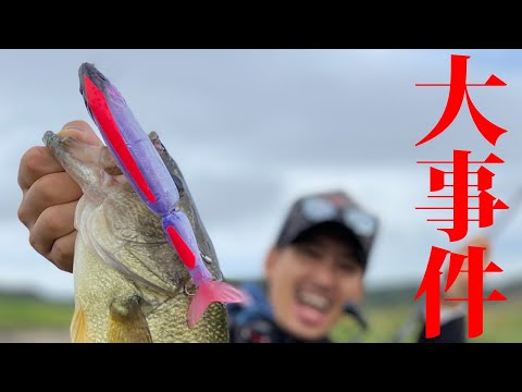 ビッグベイト初心者のタイニークラッシュにバスが本気喰い！！！ - YouTube