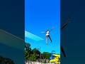 Jumping Off A 10ft Diving Board Shorts Summervibes Diving