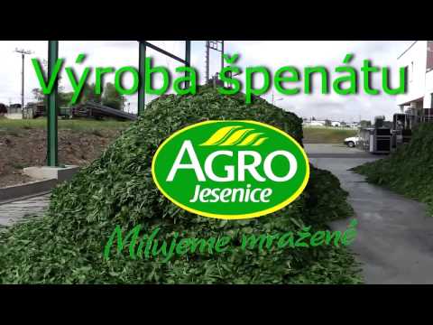 Video: Odrůda špenátu
